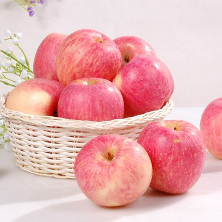 Fuji Apple (3 pcs~)