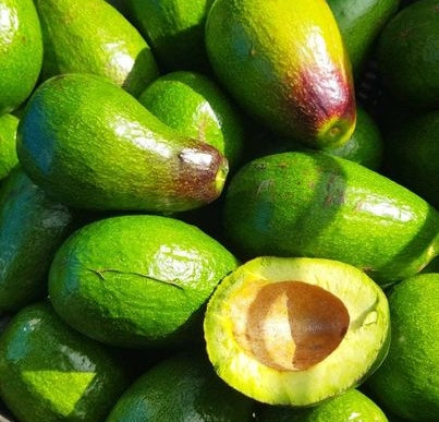 Avocado (~1 kg)