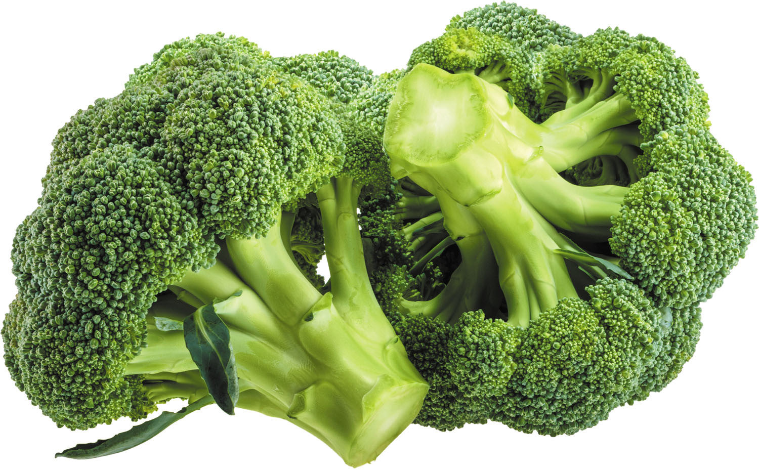 Brocolli (~1 kg)