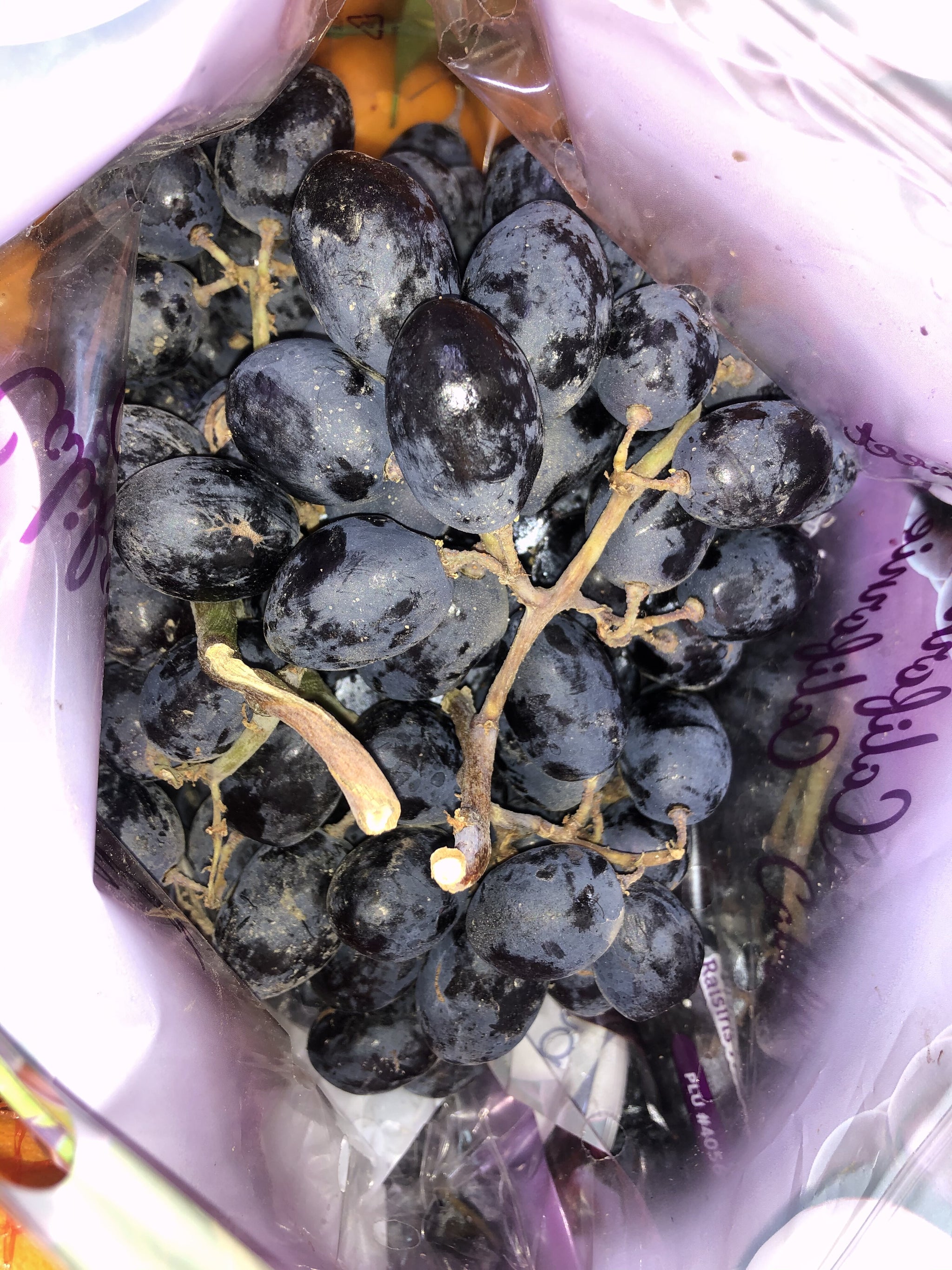 California Black Grapes (1kg ~)