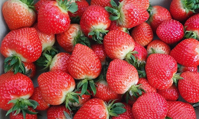 Stawberry (Korean) (per pack)