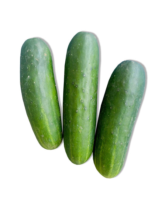 Pipino (~1 kg)