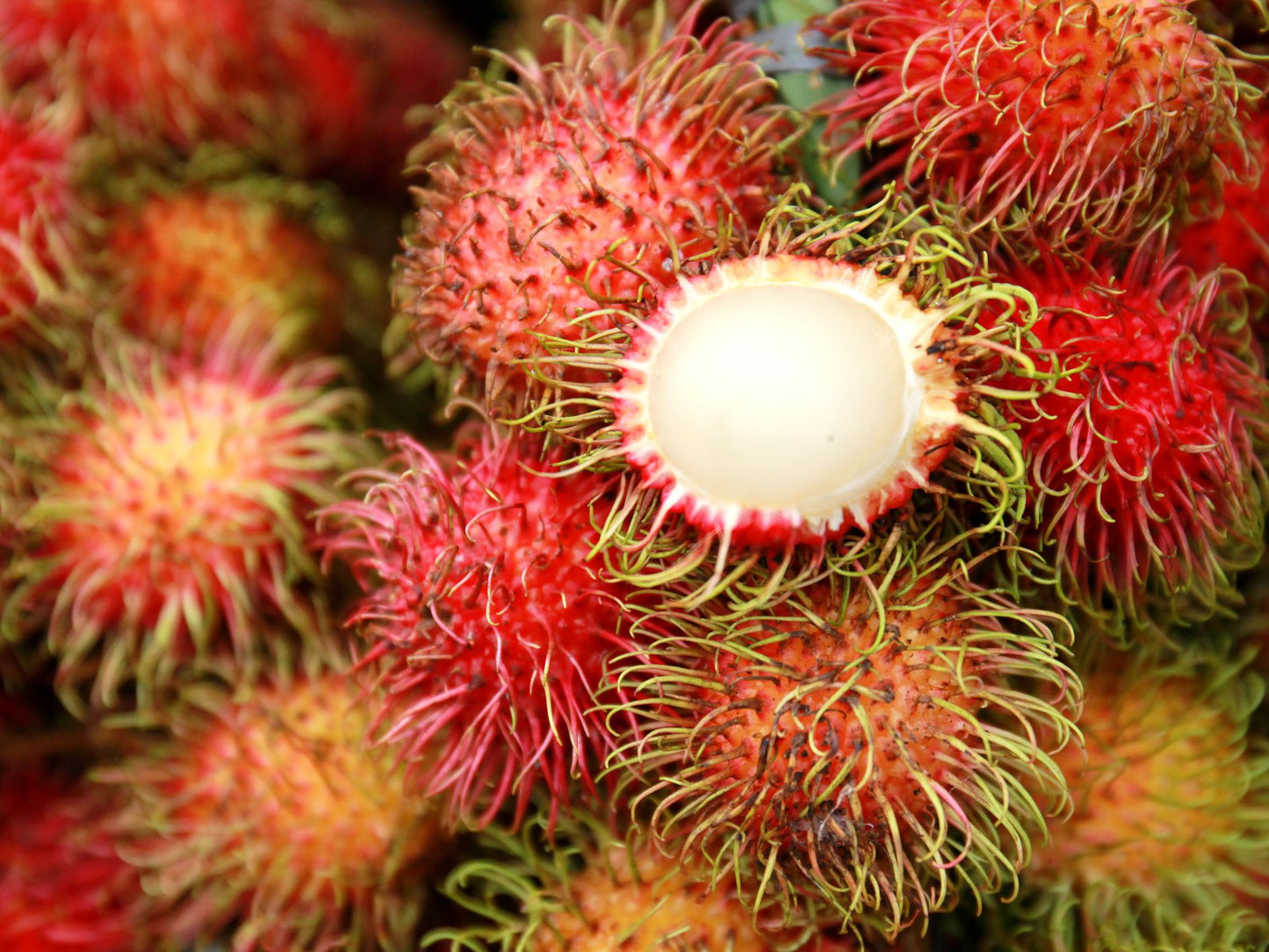 Rambutan (~1 kg)