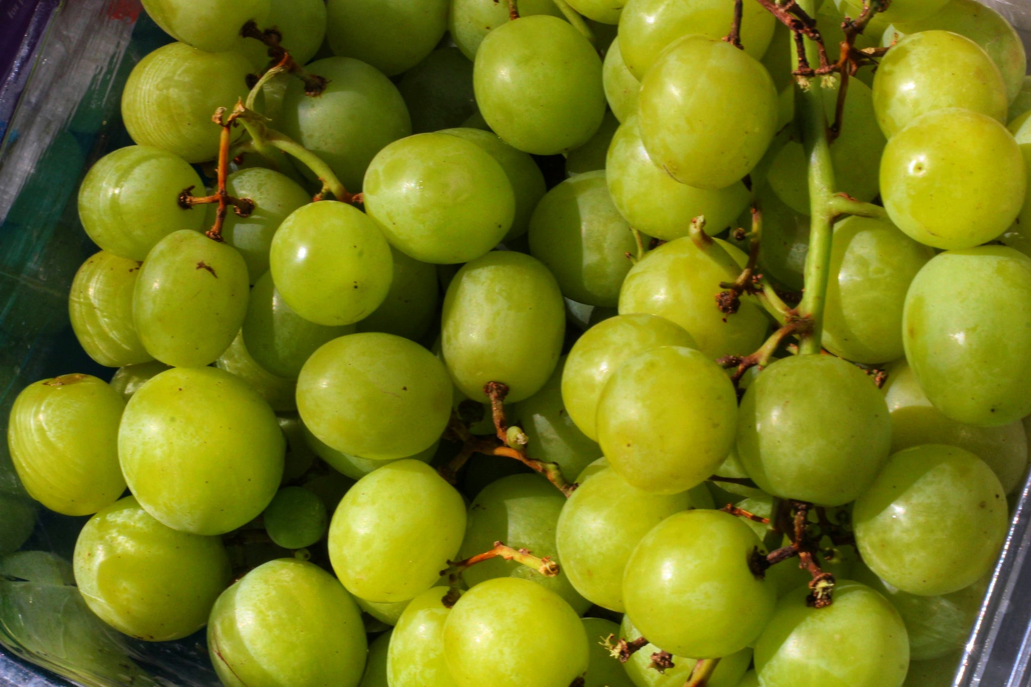 California Green Grapes (1kg ~)