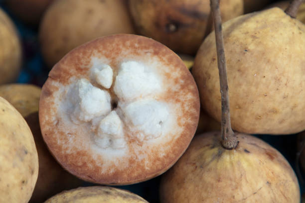 Santol (Bangkok) (~ 1 kilo)